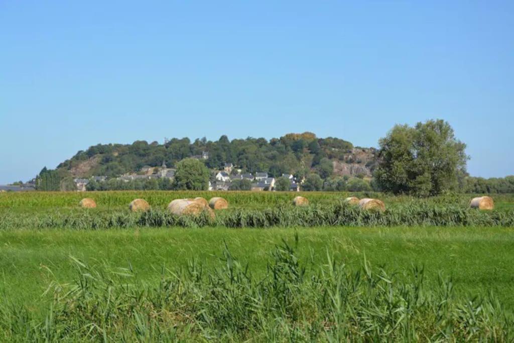 Le Studio Dolois Dol-de-Bretagne Eksteriør billede
