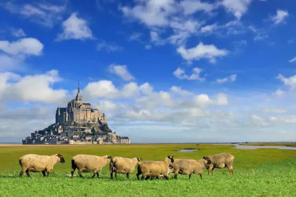 Le Studio Dolois Dol-de-Bretagne Eksteriør billede